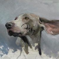 Portrait Painting Of Dog Grey Hair Hand Painted