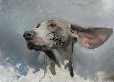 art oil painting reproduction of  Portrait Painting Of Dog Grey Hair Hand Painted museum quality handmade