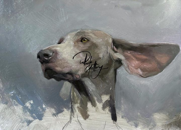Portrait Painting Of Dog Grey Hair Hand Painted museum quality