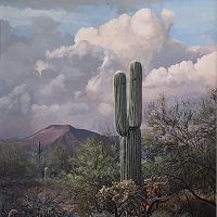 Ray Swanson, A Desert View