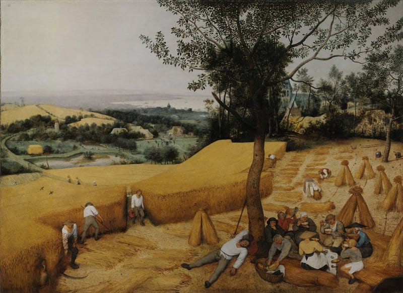 The Harvesters - Landscape By Pieter Bruegel The Elder museum quality