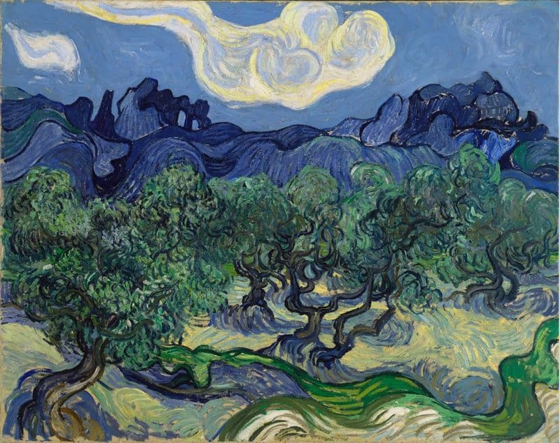 The Oilve Trees - Landscape By Vincent Van Gogh museum quality