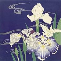 Tsukioka Kogyo Irises