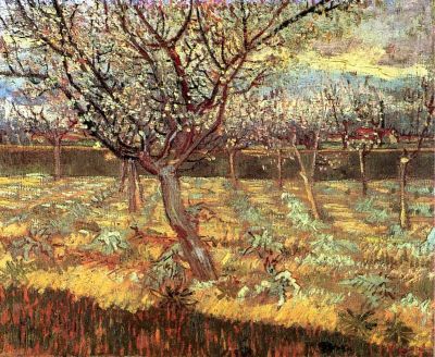 art oil painting reproduction of  Van Gogh Apricot Trees In Blossom2 museum quality handmade