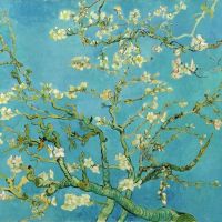 Van Gogh Blossoming Almond Tree