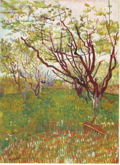 art oil painting reproduction of  Van Gogh Cherry Tree museum quality handmade