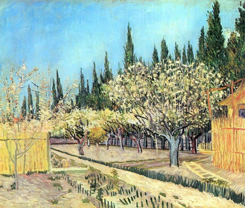 Van Gogh Flowering Fruit Garden Surrounded By Cypress museum quality