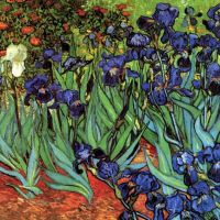 Van Gogh Irises