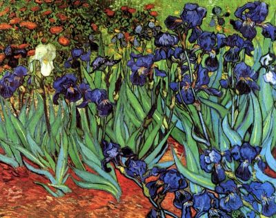 art oil painting reproduction of  Van Gogh Irises museum quality handmade