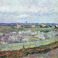 Van Gogh La Crau Near Arles With Blossoming Peach Trees