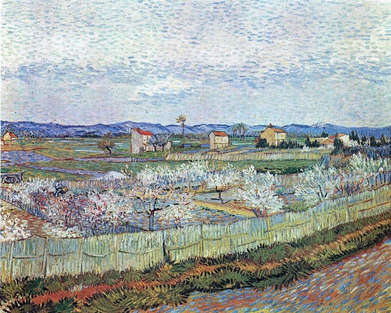 Van Gogh La Crau Near Arles With Blossoming Peach Trees museum quality