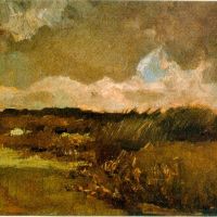 Van Gogh Marshy