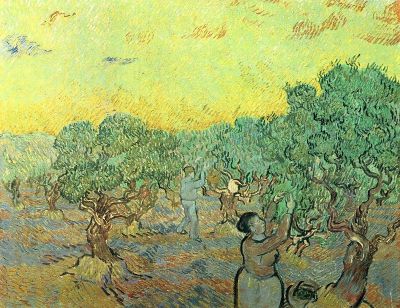 art oil painting reproduction of  Van Gogh Olive Pickers In A Grove museum quality handmade