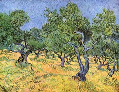 art oil painting reproduction of  Van Gogh Olive Trees museum quality handmade