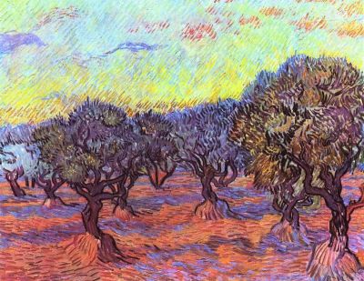 art oil painting reproduction of  Van Gogh Olive Trees Number 2 museum quality handmade