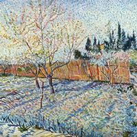 Van Gogh Orchard With Cypress
