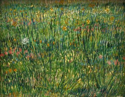 art oil painting reproduction of  Van Gogh Patch Of Grass museum quality handmade