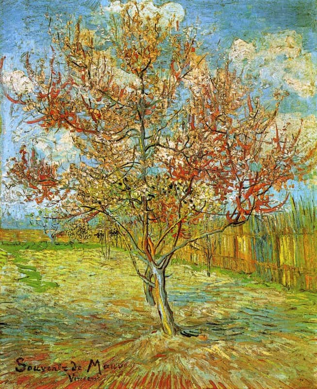 Van Gogh Pink Peach Tree In Blossom Reminiscence Of Mauve museum quality
