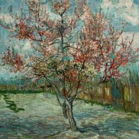 Van Gogh Pink Peach Trees Souvenir De Mauve