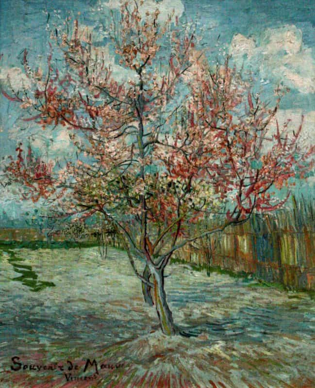 Van Gogh Pink Peach Trees Souvenir De Mauve museum quality