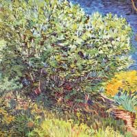 Van Gogh Slip Away