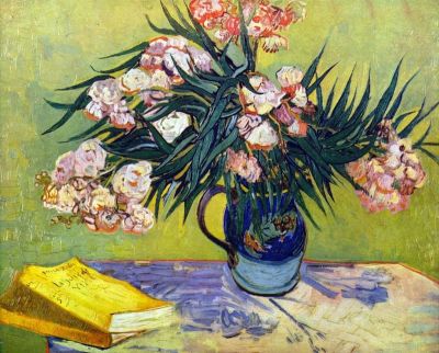 art oil painting reproduction of  Van Gogh Still Life With Oleander museum quality handmade