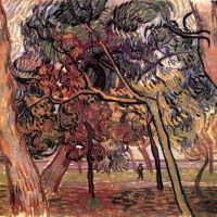 Van Gogh Study Of Pine Trees