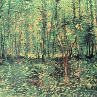 Van Gogh Trees And Undergrowth