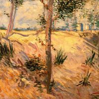 Van Gogh Trees In A Field On A Sunny Day