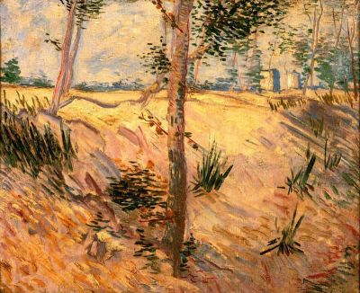 art oil painting reproduction of  Van Gogh Trees In A Field On A Sunny Day museum quality handmade