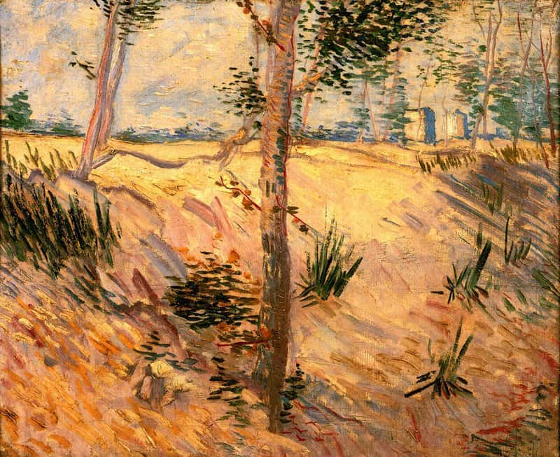 Van Gogh Trees In A Field On A Sunny Day museum quality