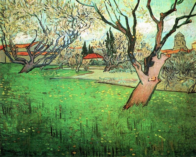 Van Gogh View Of Arles With Flowering Tree museum quality