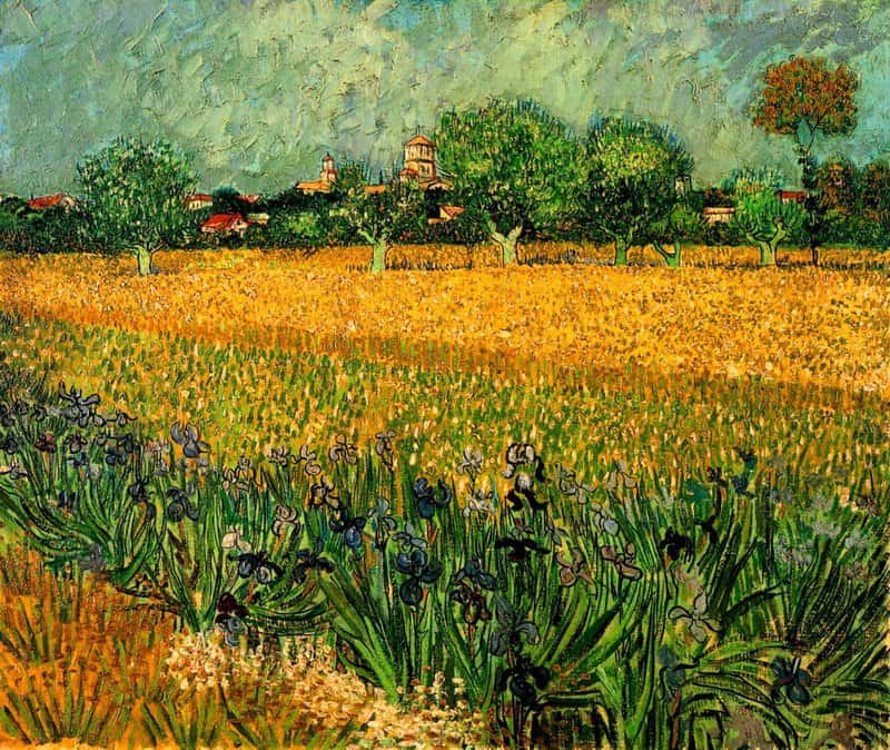 Van Gogh View Of Arles With Irises In The Foreground museum quality