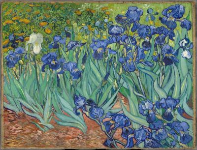 art oil painting reproduction of  Vincent Van Gogh Irisese museum quality handmade