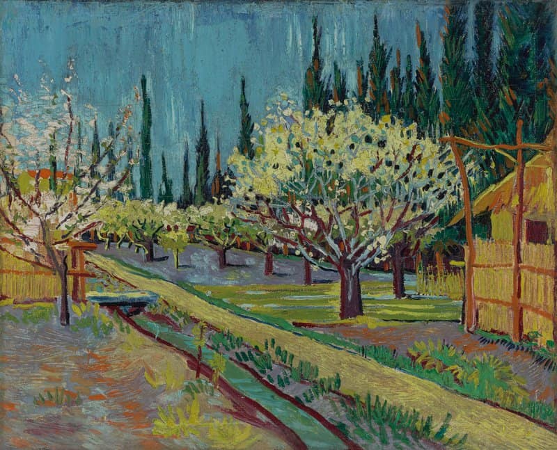 Vincent Van Gogh Orchard Bordered By Cypresses 1888 museum quality