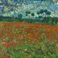 Vincent Van Gogh Poppy Field