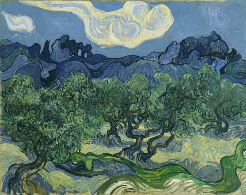 Vincent Van Gogh The Olive Trees At Saint Remy museum quality
