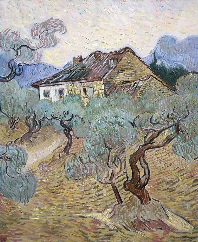 Vincent Van Gogh The White Cottage Among The Olive Trees 1889 museum quality