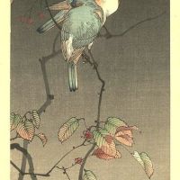 Watanabe Shotei Blue Birds At Night